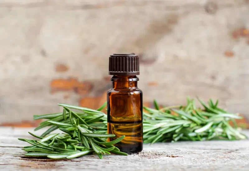 طب وصحة – الروزماري.. سر طبيعي لتعطير المنزل وإزالة الروائح