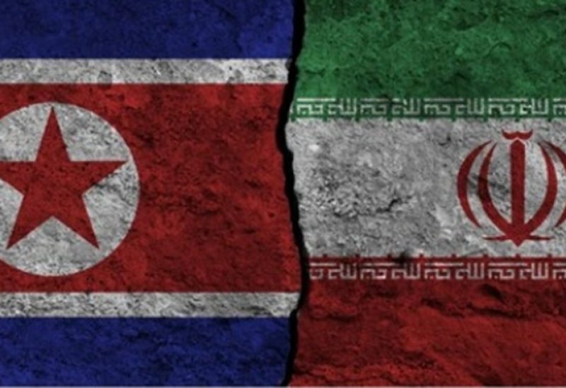 علم كوريا الشمالية وإيران