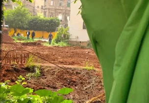 صورة من قلب الحديقة أثناء الأشغال