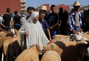 امرأة تتسوق في سوق الماشية، قبيل عيد الأضحى في مدينة وجدة المغربية بصورة من أرشيف رويترز.