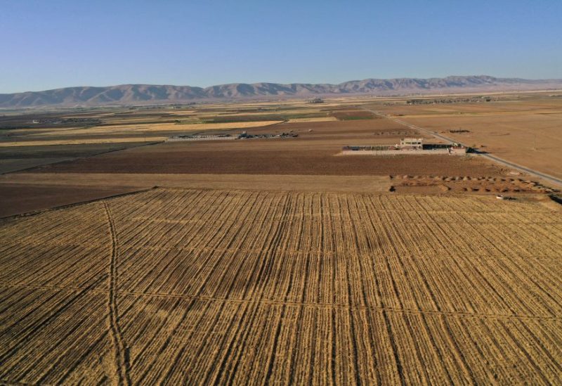 أرض زُرعت بالقمح وتم حصادها، في القامشلي، سوريا. رويترز