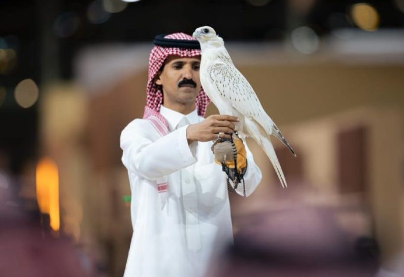 بيع أغلى صقر في المزاد الدولي لمزارع إنتاج الصقور في الرياض. أرشيفية