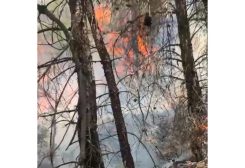 الحريق الذي اندلع في جبل أيطو