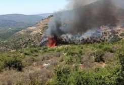 حريق كبير يلتهم أحراج عين جرفا في حاصبيا