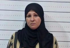 سنال الخضر
